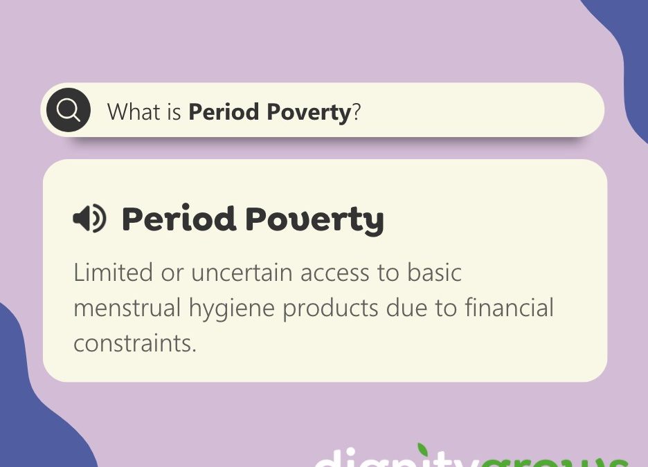 How Does Period Poverty Affect Education